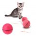 Cat-Ball-04