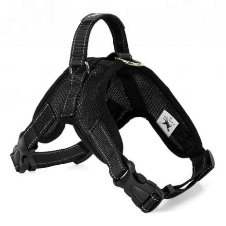 Dog-Harness-06